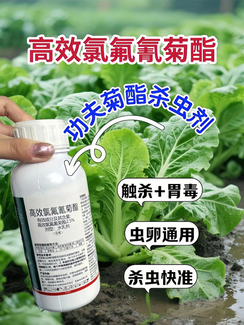 巫山代生中心:农药对供卵代生妈妈的危害